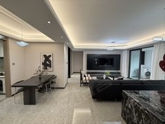 合肥滨湖新区新省府质感拉满!云端大横厅 珺和府 推窗见景 尊享城市天际线出租房源真实图片