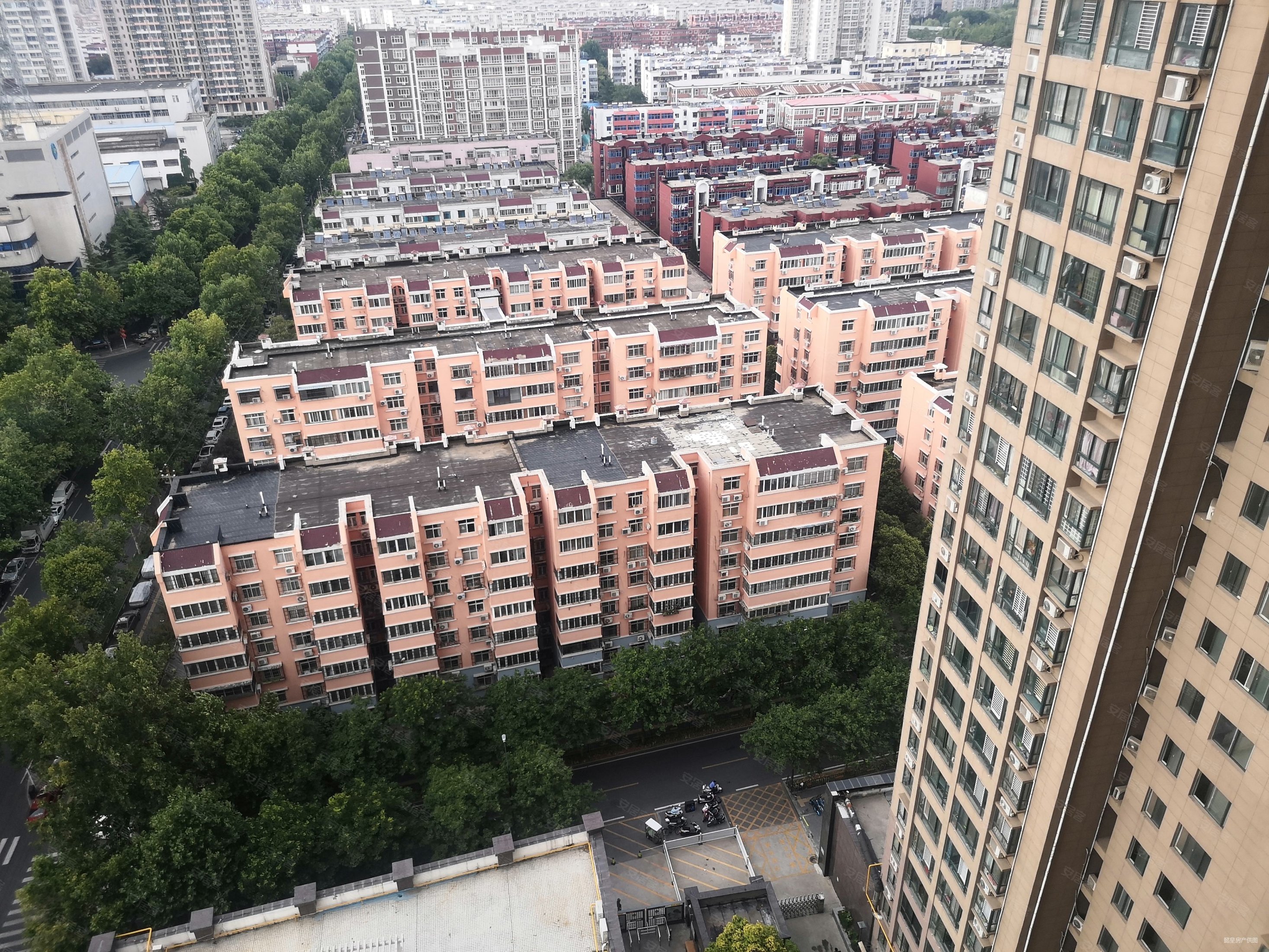 出门50米洛浦公园刚需过渡中间楼层采光好有电梯