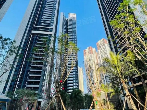 深圳坪山坪山万樾府万樾府全新三房两卫,楼下14号地铁口,近比亚迪