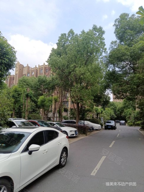 单价12700元买世茂东壹号电梯洋房,别错过,点进来看一下