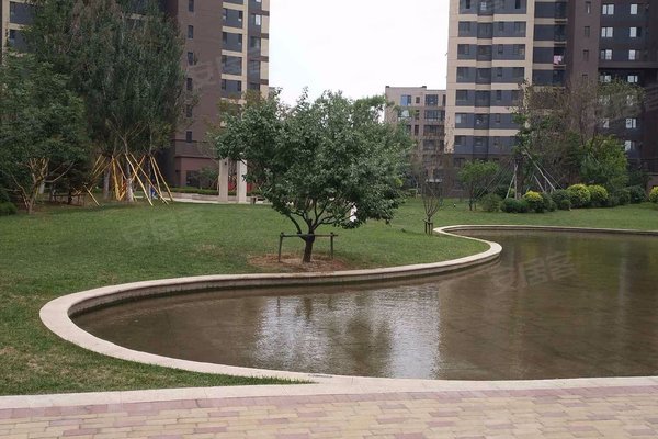 新湖仙林金谷(南区)
