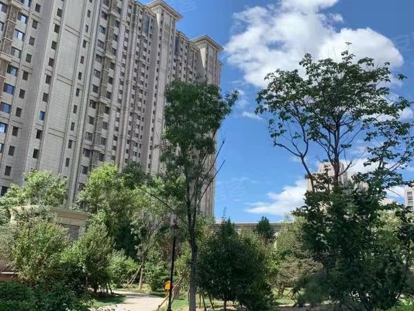 北京朝阳朝阳公园东风苑小区(北区)物业直租三里屯朝阳公园东泛海国际