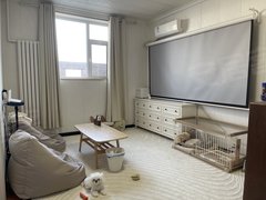 北京朝阳垡头一室一厅 二人世界太舒服了 可以宠物 好温馨出租房源真实图片