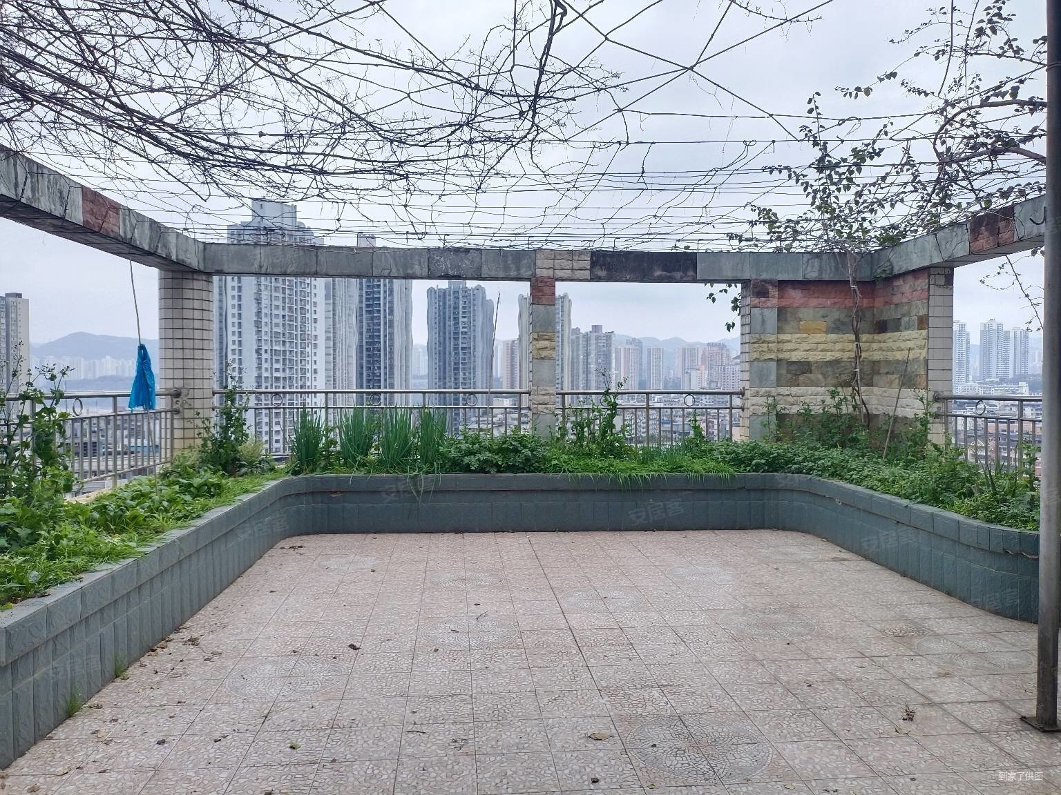 海天花园小高顶跃带屋顶花园看江大6房随时看房