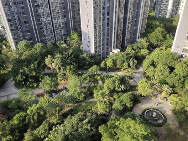 柳沙租房,半岛东岸 2室1厅1卫 87平 南北通透 电梯房,青秀租房-南宁58