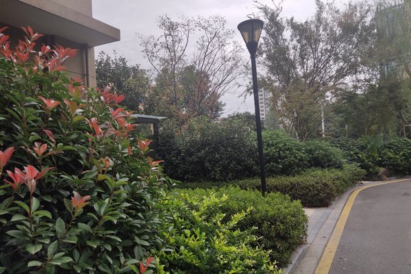 不足,蒋家桥锦园怎么样,蒋家桥锦园周边房产中介经纪人评价-温州安居