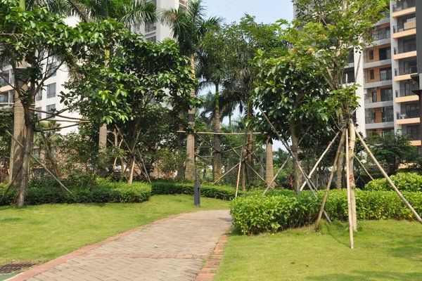 不足,唐园小区怎么样,唐园小区周边房产中介经纪人评价-佛山安居客