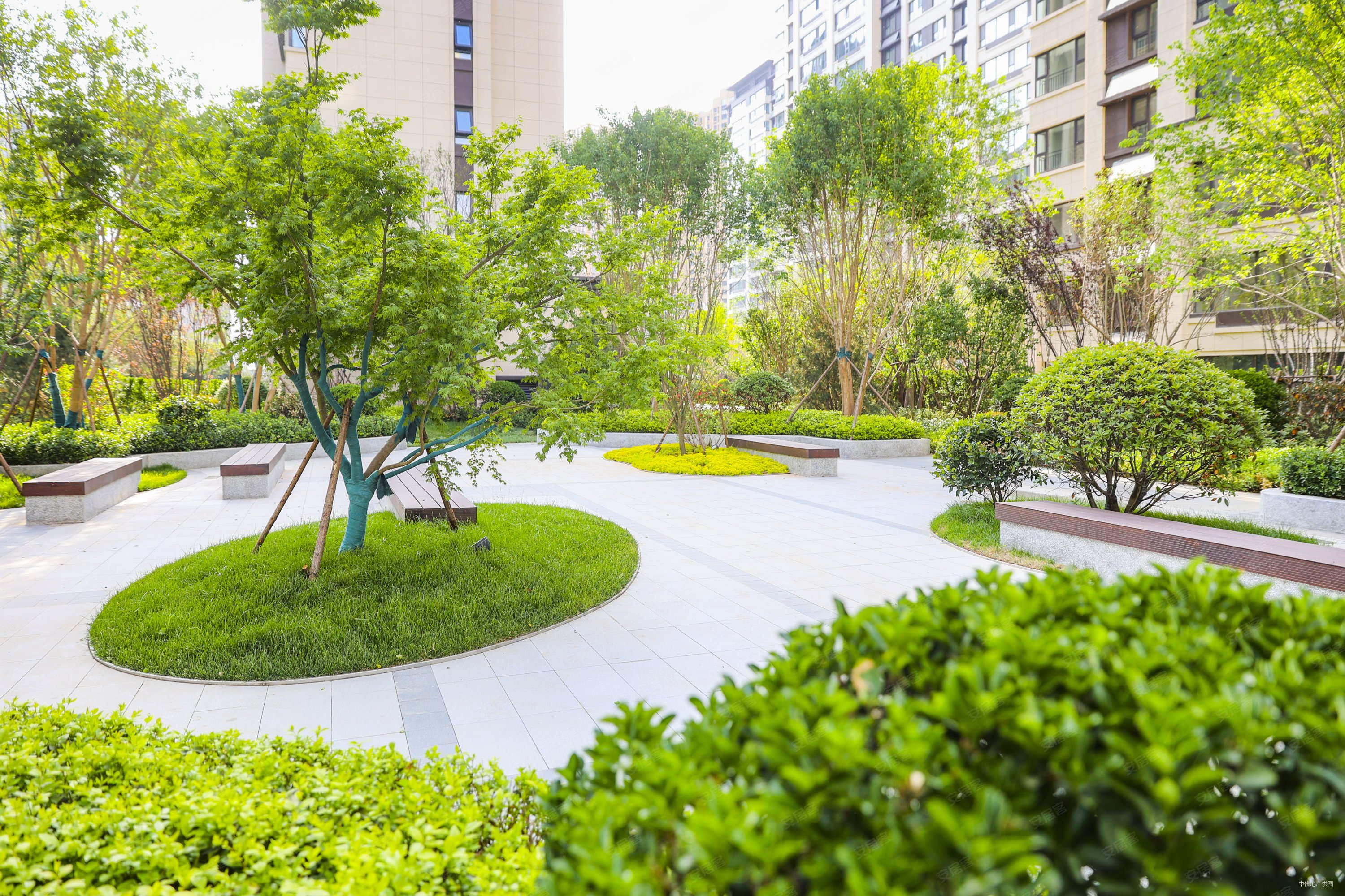 祥泰城文峰园3室2厅2卫136.4㎡南北190万