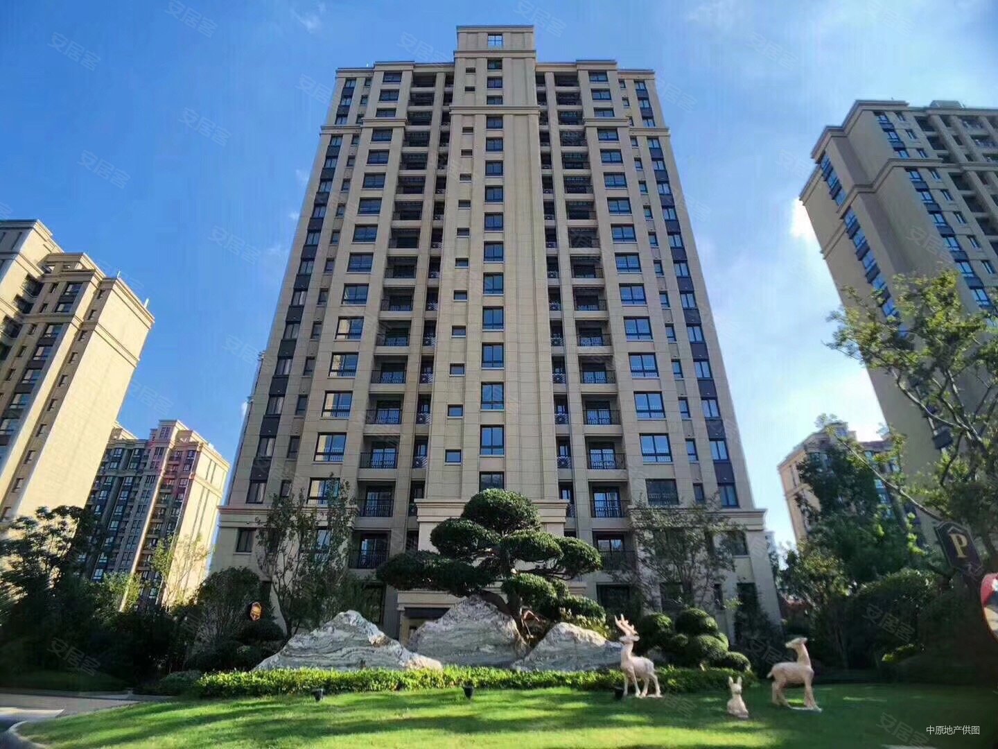 越洋国际2室1厅2卫45㎡南65万