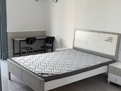 衢州柯城南区出租，绿都假日单身公寓，精装修，家电齐全，1100月有钥匙出租房源真实图片