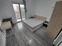 武汉青山余家头大华铂金郦府 独卫独阳 科普公园 武科大 奥山世纪城 奥莱出租房源真实图片