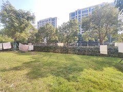 苏州吴中郭巷尹山湖二号线 一室一厅 带院子 烧烤 看星星 晒太阳 可短租出租房源真实图片