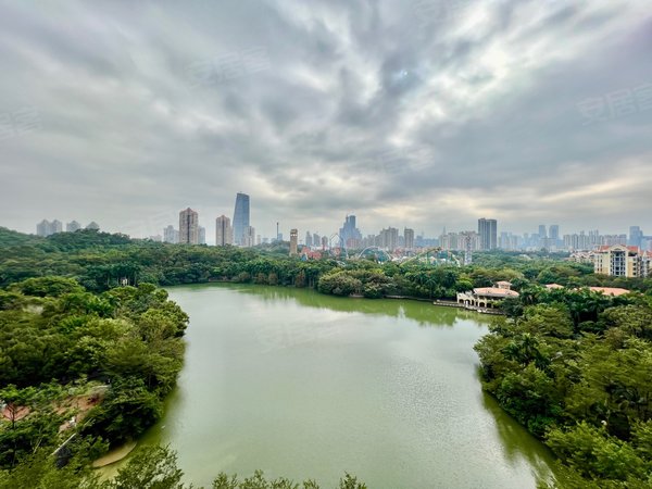 深圳南山华侨城新天鹅堡(一二期)天鹅湖花园300平,首租,拎包入住出租