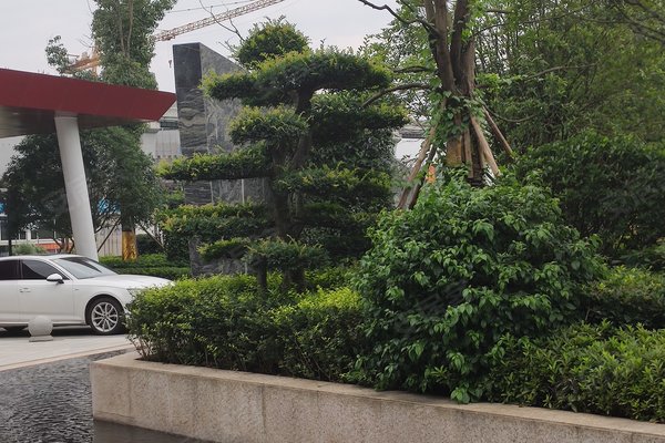 中国摩林莺花园,空港东路777号 - 重庆中国摩林莺花园二手房,租房