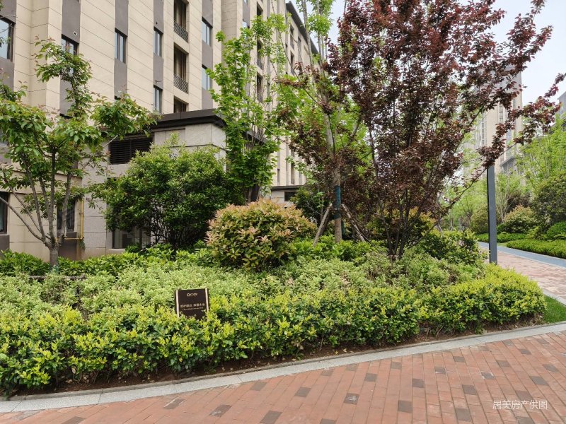 中骏雍景湾洋房精装修三室118平一天没住