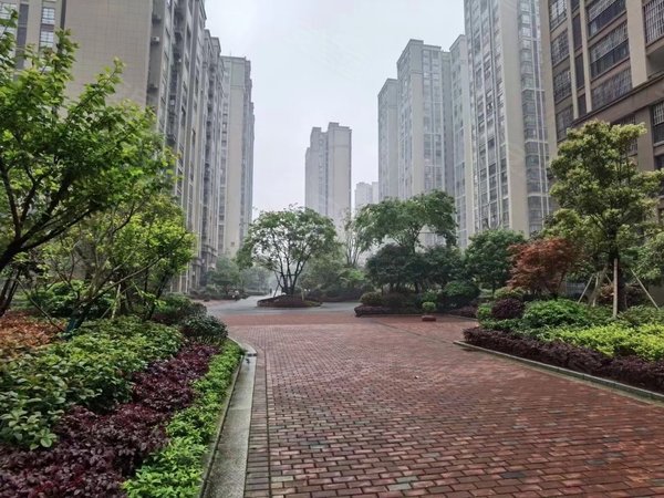 桂林临桂西城大道兴荣郡市政府万达广场附近!兴荣郡一房两厅包物业费!