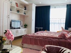 湖州吴兴西南新城梦想城精装修单身公寓出租房源真实图片