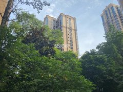 德阳旌阳城南世家城南1号 3室2厅2卫出租房源真实图片