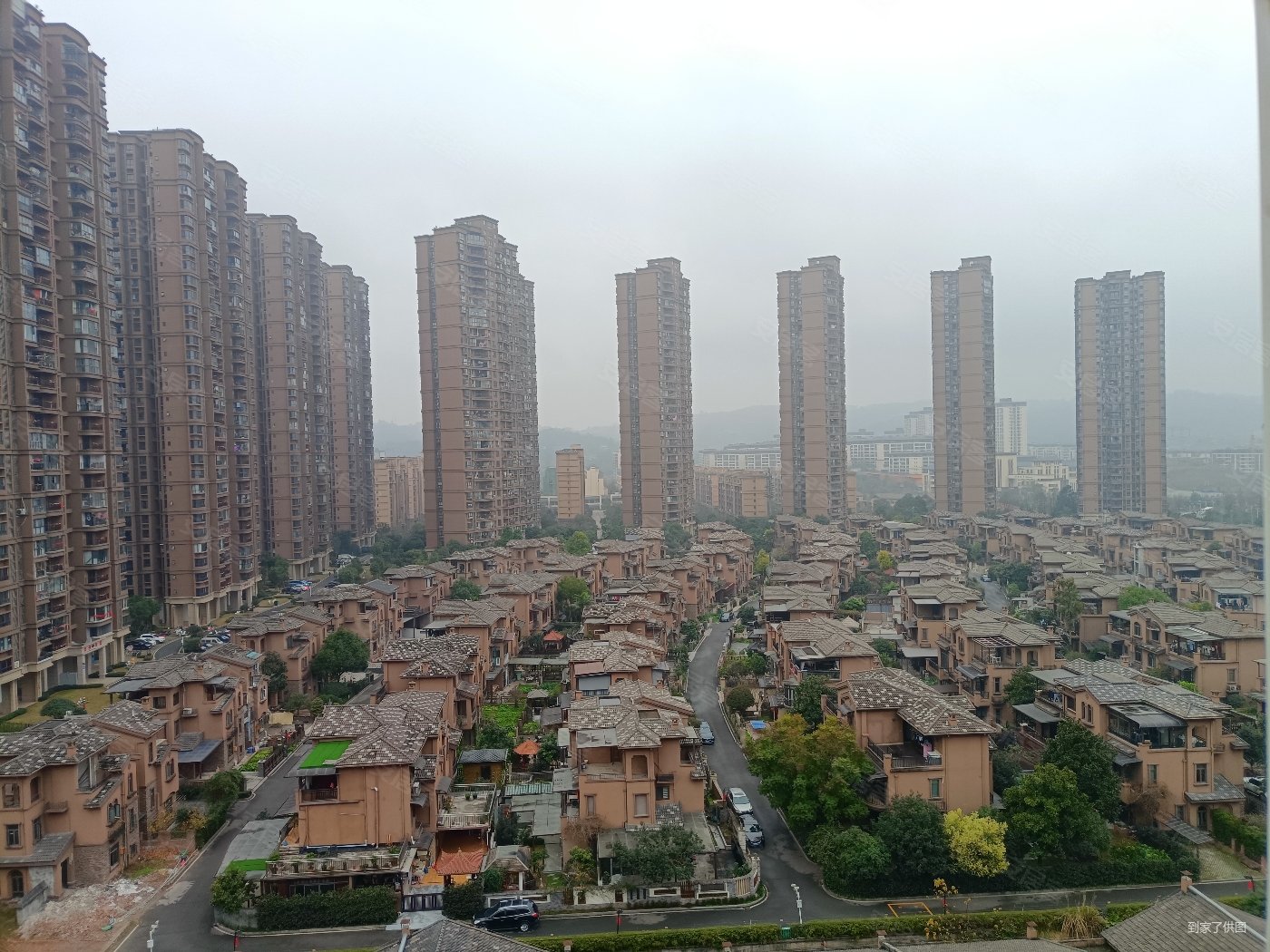 业主急售绿岛中心c位出道碧桂园二期精致小高