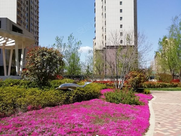 烟台高新区马山寨祥隆理想城祥隆理想城 2室1厅1卫出租房源真实图片