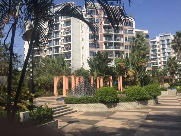 宝龙租房,蓝钻风景 1室2厅1卫 电梯房 配套齐全 南北通透,龙岗租房