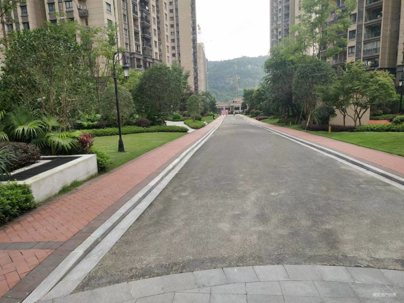 万州金科观澜d区3室2厅1卫96.25㎡南49.8万