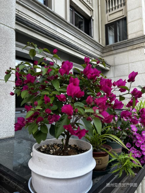 8万,香颂溪岸二手房,149.8万,3室2厅,1卫,96平米-扬州安居客