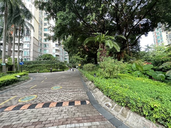 深圳罗湖布心碧岭华庭新上 碧岭华庭 精装大二房 畔山物业 带阳台