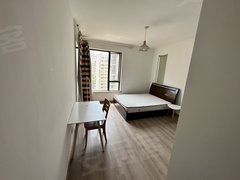 苏州工业园湖东东湖大郡 近圆融 奥体 金鸡湖 远联 地铁六号线 押一付一出租房源真实图片