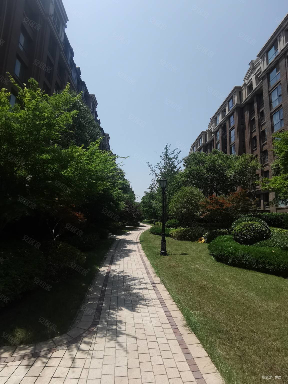 普罗旺世龙之梦西苑