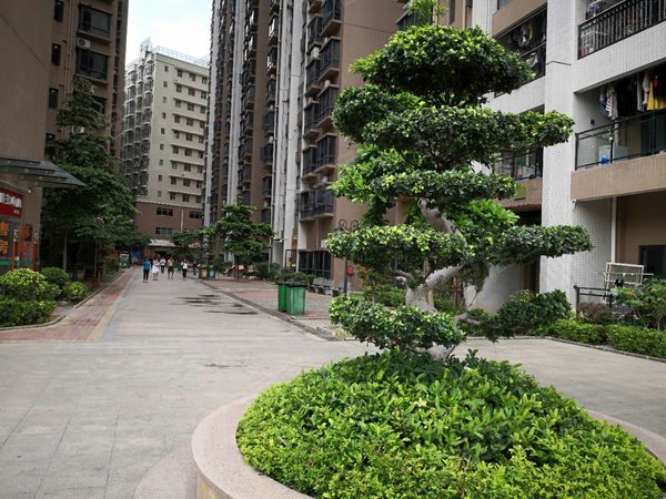 深圳龙华观澜章阁中心城章阁中心城 3室2厅1卫 电梯房 87平 精装修