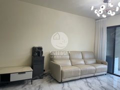 百色靖西城西路碧桂园套房出租 家具家电齐全 高楼层采光通风好 拎包入住出租房源真实图片