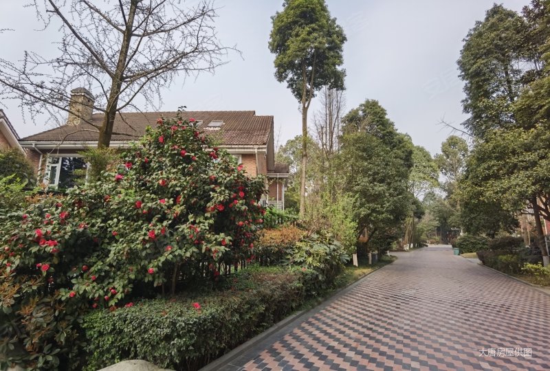 临中庭树林,维也纳森林别墅二手房,720万,5室2厅,4卫,337平米-成都