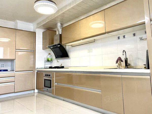 菜户营 丽泽天街 soho 骆驼湾凤凰嘴金泰城丽湾精装大平层,丰台租房