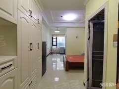 武汉蔡甸恒大绿洲中国健康谷健康新天地 1室1厅1卫  电梯房 精装修43平米出租房源真实图片