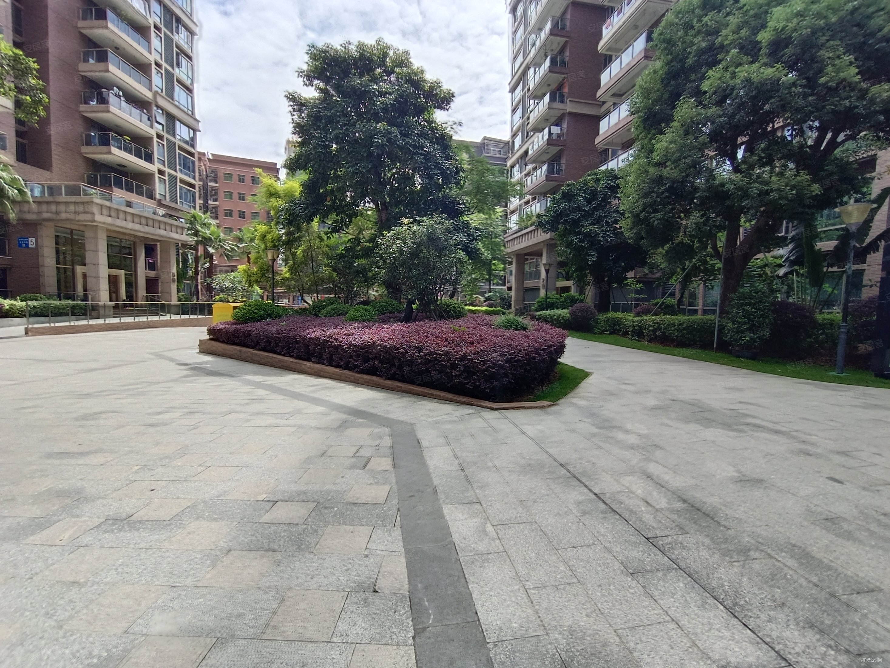 虎门豪宅典范,南北通透,业主诚意出售,龙泉华苑二手房,620万,3室2厅,3