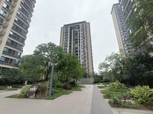 重庆江北石马河中粮天悦壹号(二期高层)中粮天悦壹号(二期高层) 1室1