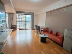 深圳大鹏新区大鹏佳兆业一房一厅拎包出租出租房源真实图片