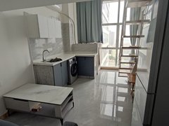 简阳老城区简城老城大华茶世界 跃层套一 可押一付一 停车免费出租房源真实图片