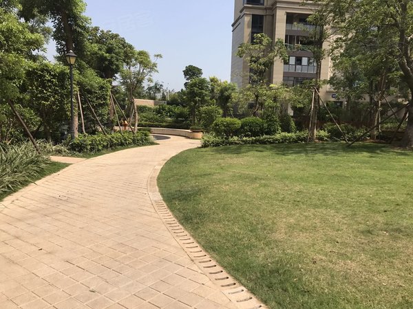 厦门湖里五缘湾南区国贸天琴湾(一期公寓)五缘湾 国贸天琴湾 385平