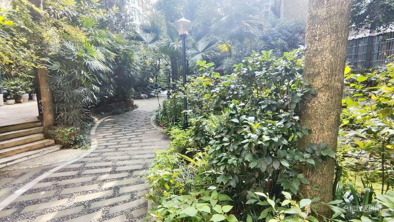 板楼 双卫生间,滨河花园(郫县)二手房,96万,3室2厅,2卫,128平米-成都