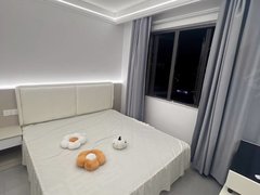 台州黄岩西城出租泓园 豪华精装 一室一厅一厨一卫 烧天然气1200元每月出租房源真实图片