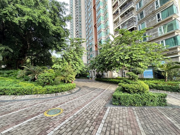 深圳罗湖布心碧岭华庭新上 碧岭华庭 精装大二房 畔山物业 带阳台