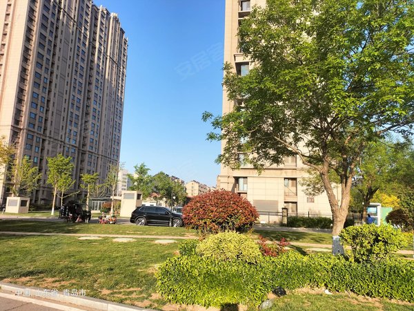 青岛城阳棘洪滩青岛碧桂园1200碧桂园精装修套二出租,冰箱洗衣机 都有