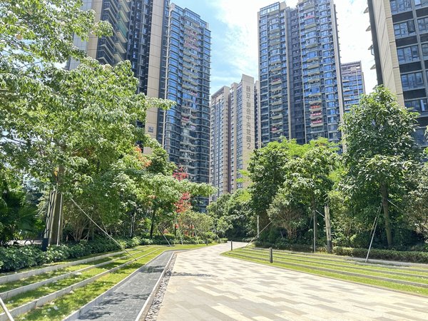 高档大小区,三条地铁口,星河商业圈,豪华装修三房,龙岗租房-深圳58