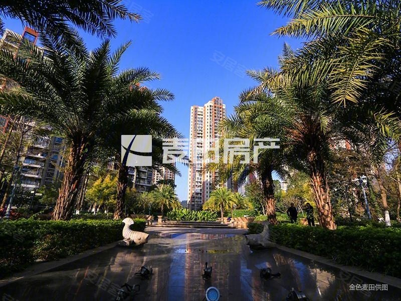 高楼层采光充足 商品房 南北通透 低密宜居 刚需两居 环境好,绿苑新城