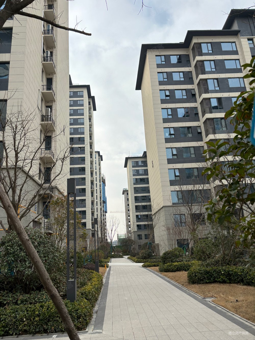 碧桂园翡翠天境