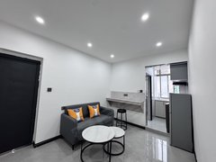 金华婺城婺城江南世贸广场金华之心附近一室一厅民用水家具齐全押一付一可短租朝南出租房源真实图片