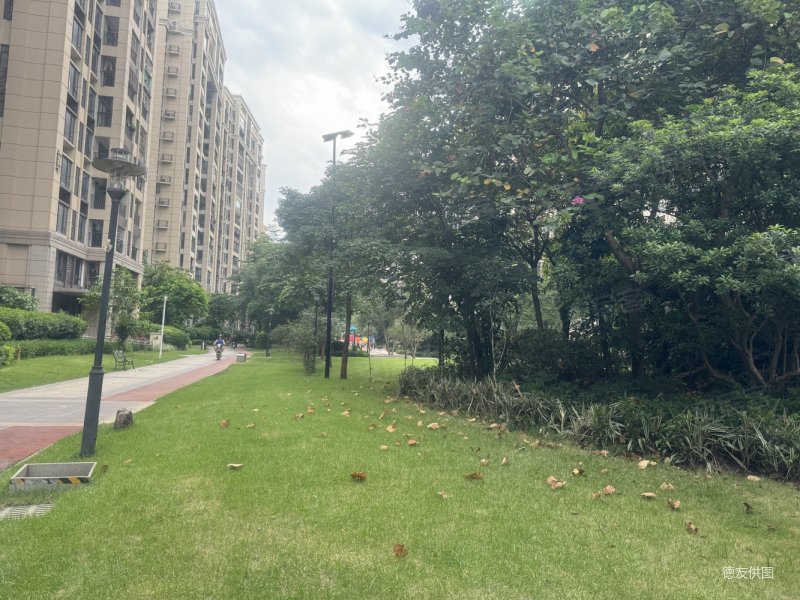 佛山房产网>佛山二手房>南海二手房>罗村二手房>招商依云华府>800_600