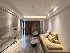 郑州郑东新区北龙湖网红公寓!轻奢风一室一厅 长租价格可谈 来电咨询低价 金融岛出租房源真实图片